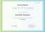 debug, write, execute golang, java, python, c, cpp program
